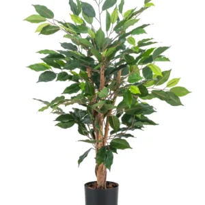 Die Kunstpflanze Ficus Green 90 cm hat mehrere braune Stängel und sattgrüne Blätter in einem schlichten schwarzen Topf – ideal als stilvolle Büropflanze.