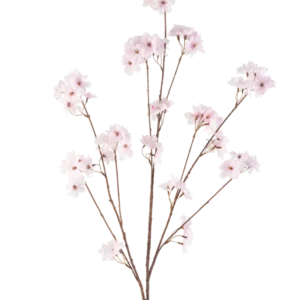 Die Kunstblume Kirschblüte 130 cm hellrosa hat mehrere dünne Stiele mit Büscheln zarter hellrosa Kirschblüten, wunderschön arrangiert und isoliert auf weißem Hintergrund.