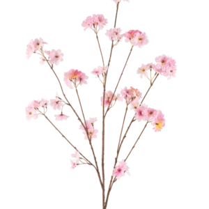 Die künstliche Kirschblüte 130 cm rosa hat einen einzelnen braunen Stiel, der sich in Büschel zartrosa Kirschblüten verzweigt, die sich wunderschön vor einem schlichten weißen Hintergrund abheben.