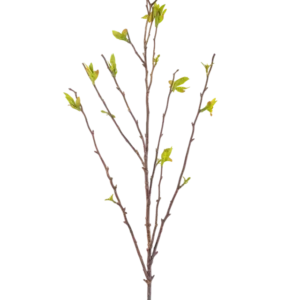 Die Kunstblume Winterzoet 81 cm grün ist ein künstlicher Zweig mit dünnen braunen Stielen und kleinen grünen Blättern auf weißem Hintergrund.