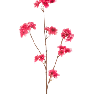 Die künstliche Blume Kirschblüte 85 cm in Fuchsia hat einen einzelnen braunen Stiel mit mehreren Zweigen, die jeweils mit Büscheln leuchtend fuchsiafarbener künstlicher Kirschblüten vor einem schlichten weißen Hintergrund verziert sind.