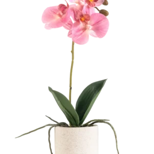 Die künstliche Orchidee Real Touch 30 cm rosa hat mehrere rosa Blüten und Knospen an einem langen Stiel mit breiten grünen Blättern und sichtbaren Wurzeln, alle in einem einfachen weißen strukturierten Topf vor einem schlichten weißen Hintergrund angeordnet.