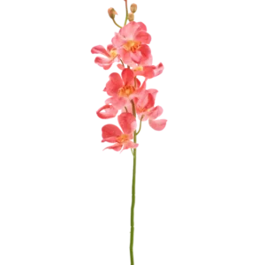 Die künstliche Blumenorchidee 55 cm rosa hat einen einzelnen Stiel mit leuchtend rosa Orchideenblüten mit mehreren offenen Blüten und Knospen vor einem schlichten weißen Hintergrund.