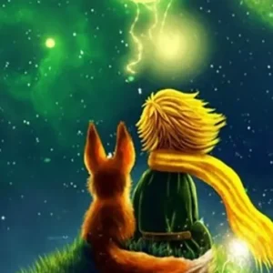 Diamond Painting Leuchtbild mit Prinz und Fuchs in einer magischen Nacht unter grünem Sternenhimmel auf Leinwand