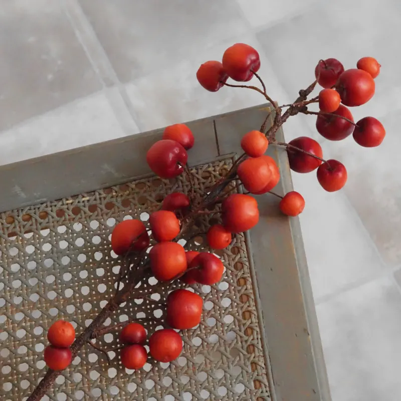 Apfelzweig Rot · Herbstdekoration Naturholz-Optik
