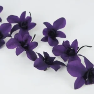 Orchidee Dendrobium konserviert Earth Matters - 8 Köpfe - Grape 461 - Si-nature