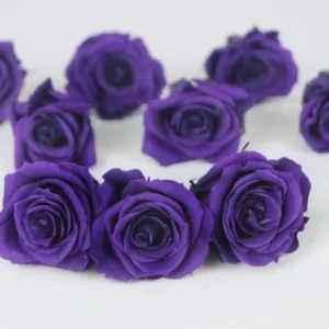 Rosen konserviert Izumi Earth Matters - 9 Köpfe - Grape 461 - Si-nature