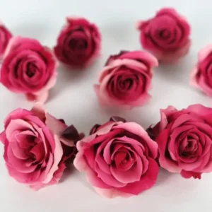 Rosen konserviert Izumi Souffle Earth Matters - 9 Köpfe - Pink ruby 182