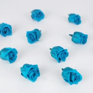 Stabilisierte Rosen Kiara 2 cm - 12 Stück - Aquamarine - Si-nature