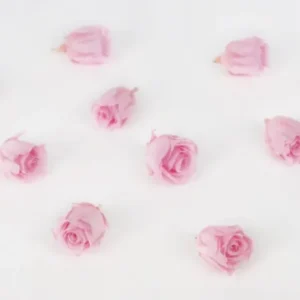 Stabilisierte Rosen Kiara 2 cm - 12 Stück - Bridal pink - Si-nature