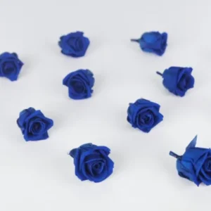 Stabilisierte Rosen Kiara 2 cm - 12 Stück - Ocean blue - Si-nature