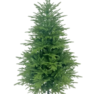 De Kunstkerstboom "Åsmund" PE/PVC is een volle, groene kunstkerstboom met dichte takken, rechtopstaand op een metalen standaard tegen een effen witte achtergrond.