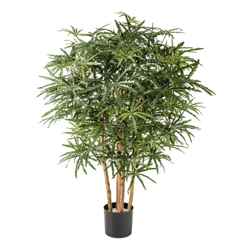 Künstliche Aralie mit Echtholzstamm - Natsuki, 85 - 115 cm