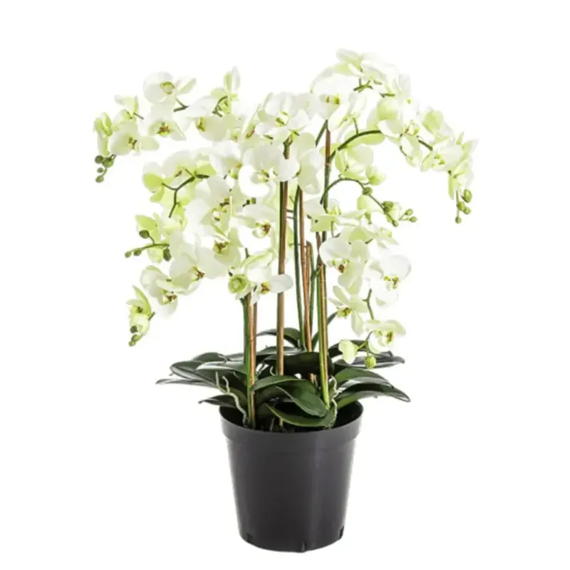 Künstliche Orcidee - Orchid, 85 cm