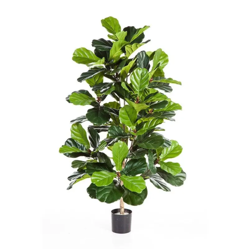 Künstlicher Ficus Lyrata mit Echtholzstamm - Harrison, 130 cm