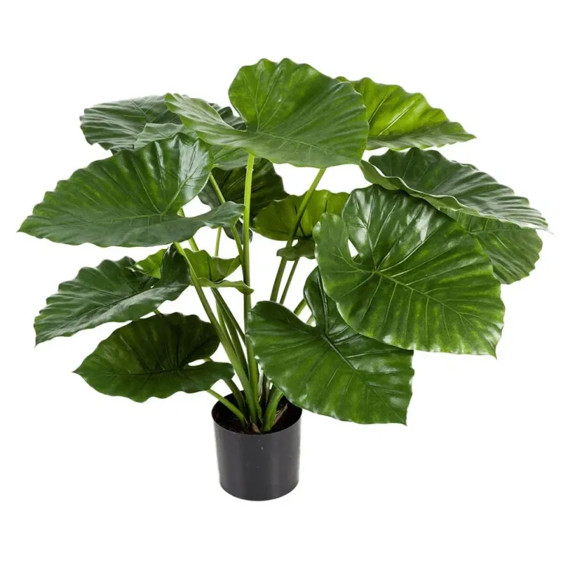 Künstliches Alocasia - Aluna, 75 cm