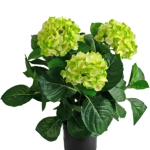 Die künstliche Hortensie UV 43 cm Grünpflanze hat drei große Büschel hellgrüner Hortensienblüten mit dunkelgrünen Blättern in einem Topf vor einem weißen Hintergrund.