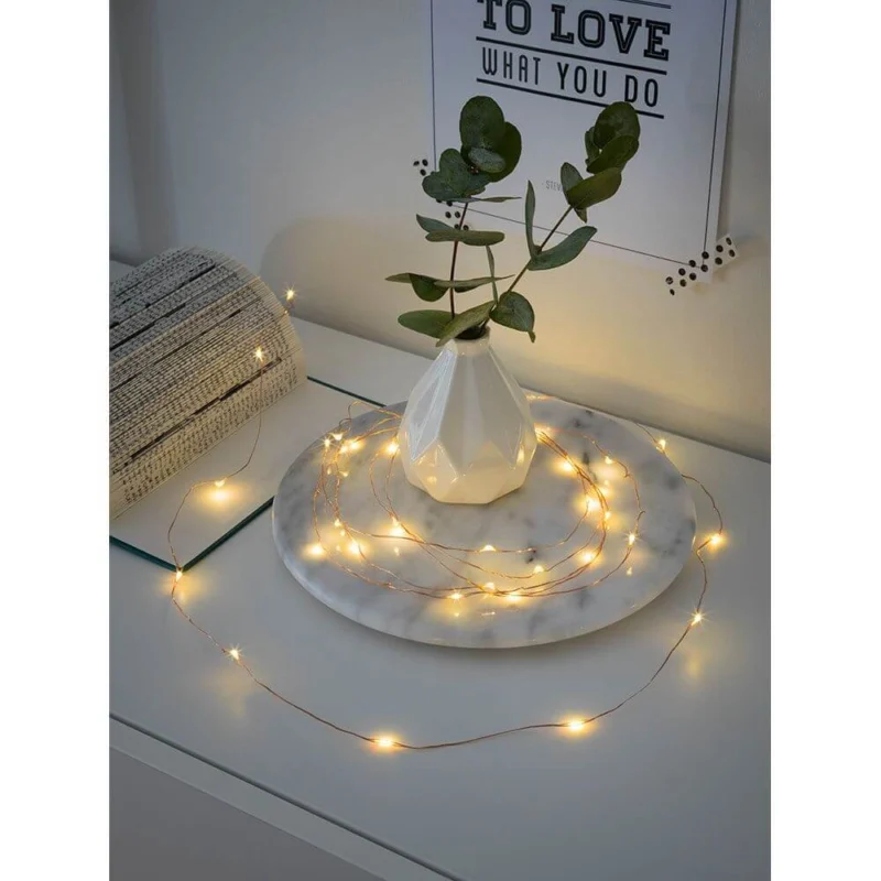2m Micro LED Lichterkette Timer 20 Warmweiße Dioden batteriebetrieben kupferfarbener Draht mit dekorativem Vase und Pflanzen.