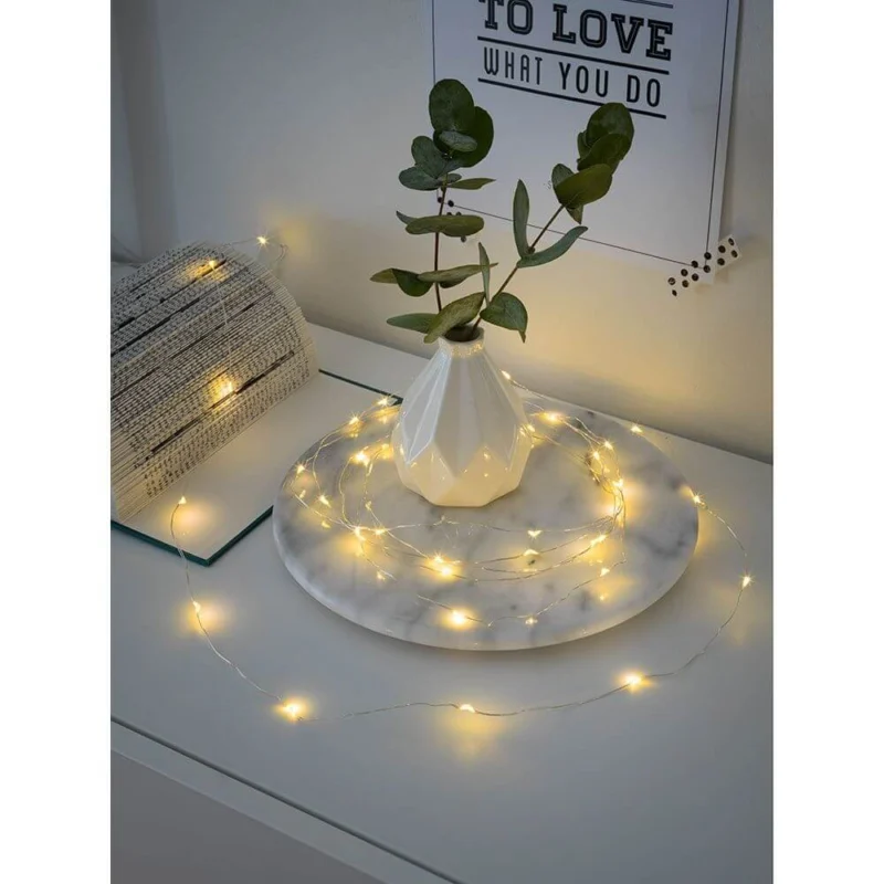 2,4m Micro LED Lichterkette Timer 40 Warmweiße Dioden batteriebetrieben, dekorativ um eine Vase mit Pflanzen.