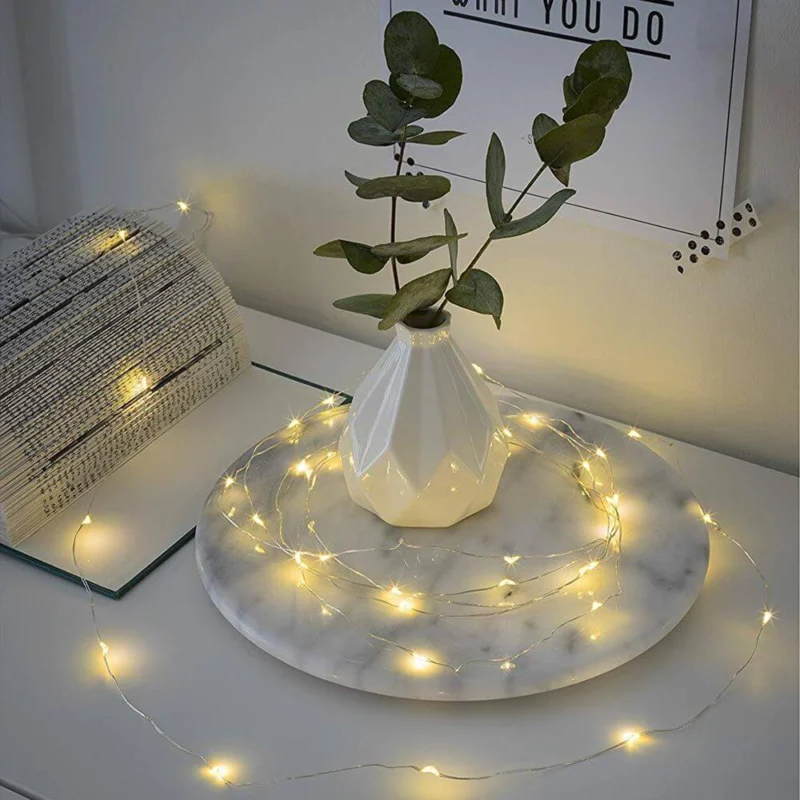 2,4m Micro LED Lichterkette Timer 20 warmweiße Dioden batteriebetrieben Innen dekorativ um eine Vase mit Eukalyptus.