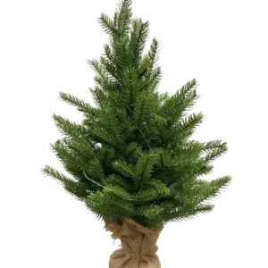 Der künstliche Weihnachtsbaum Mini „Munchi“ 60 cm 100 % PE – Smart LED ist ein kleiner grüner künstlicher Weihnachtsbaum mit echten Nadeln, einem mit Jute umwickelten Sockel und steht aufrecht vor einem schlichten weißen Hintergrund.
