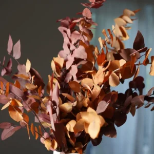Konservierter Eukalyptus in Herbstfarben – Orange, Rot & Braun