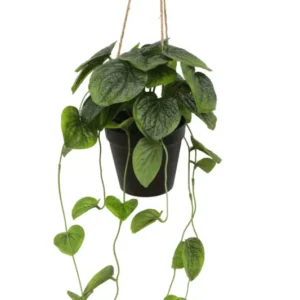Piper Kunst Hangplant 65cm