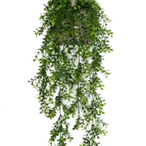 Buxus Kunst Hangplant 75cm