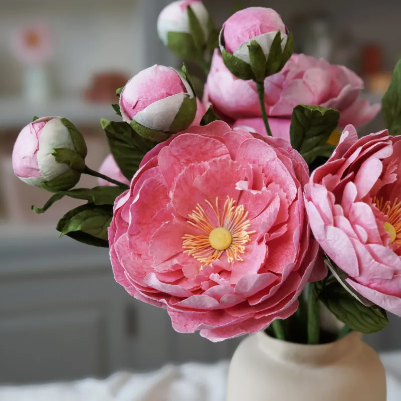 pivoine rose foncé