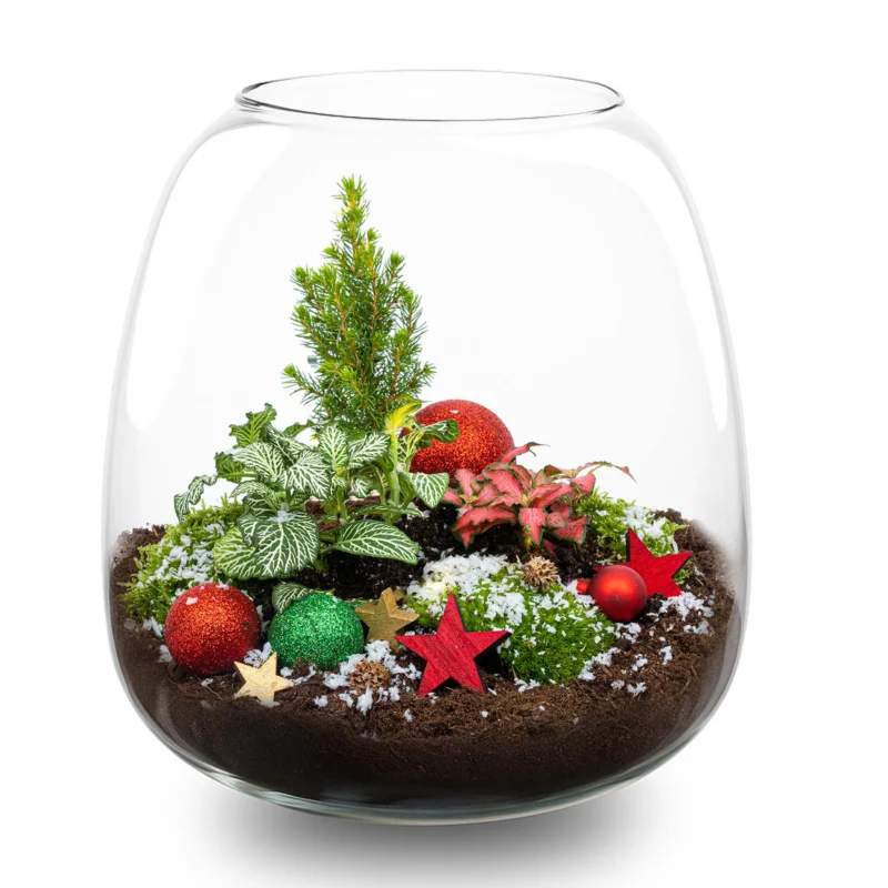 Rudolph - Christmas terrarium - Bottle garden DIY kit - Ø 23 cm ↑ 25 cm