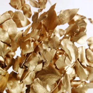Konservierter Eukalyptus Stuartiana - 1 Bund - Gold - Si-nature