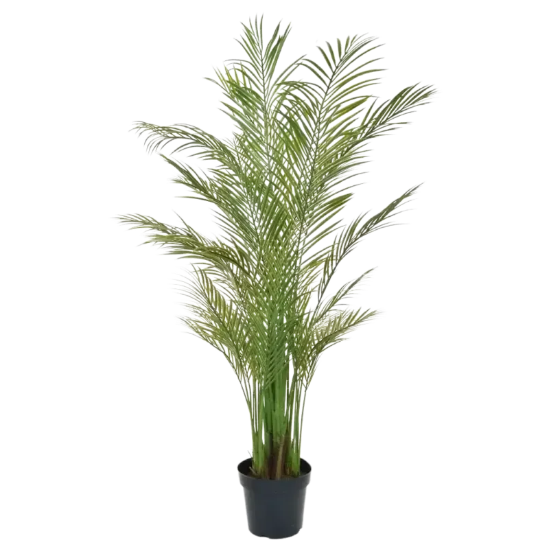 Künstliche Areca Palme - Amelie, 180 cm, Kunstbaum von aplanta, UV-beständig, feuerhemmend, B1-zertifiziert, in Grün