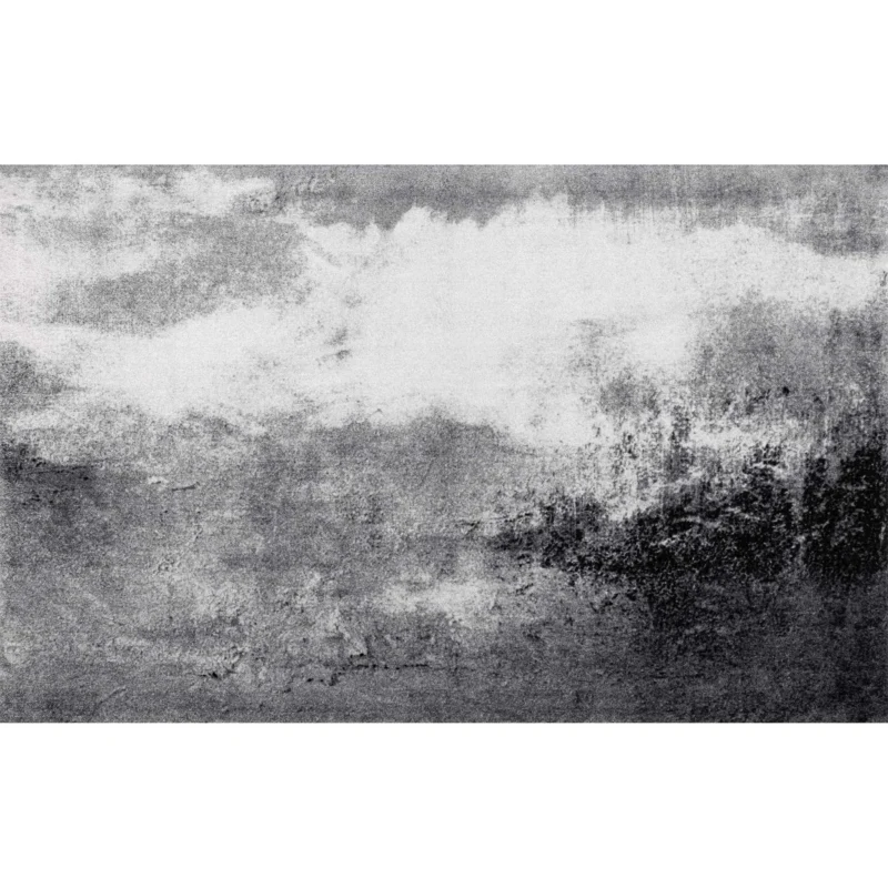 Wohnteppich 110x175 Aura anthrazit