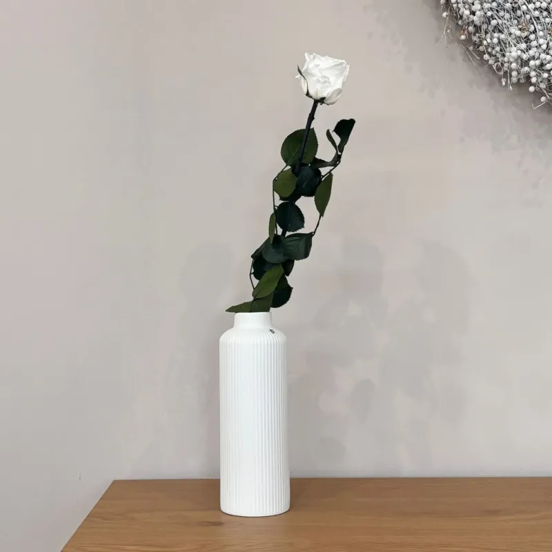 Gefriergetrocknete Rose in Nahaufnahme, natürliche Blütenstruktur