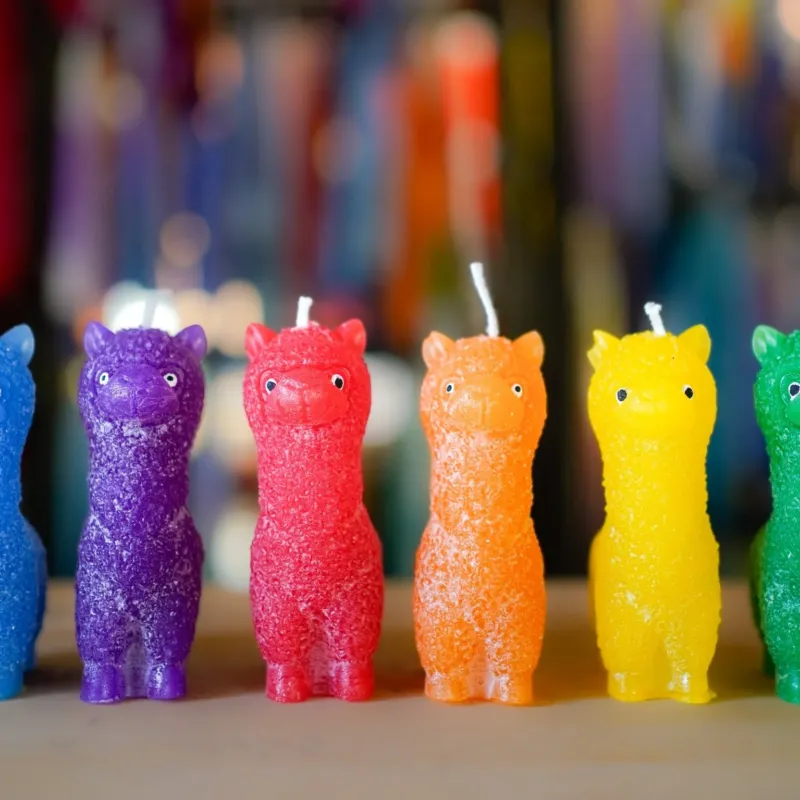 Sechs handgemachte Alpaka-Kerzen im Regenbogen-Set in Blau, Violett, Rot, Orange, Gelb und Grün