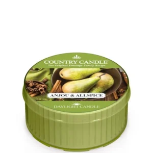 Anjou & Allspice Duftkerze online bestellen – Birne, Nelke, Vanille & Wacholder