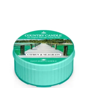 Citrus & Seagrass Duftkerze von Country Candle – frischer Sommerduft mit Zitrus & Minze