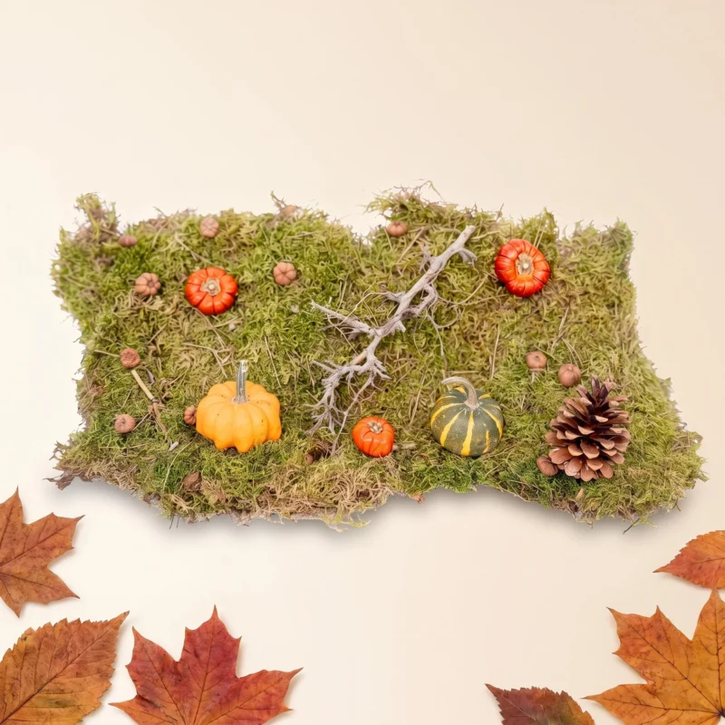 Autumn deco kit Medium with 2 real Pumpkins Ø 6 cm