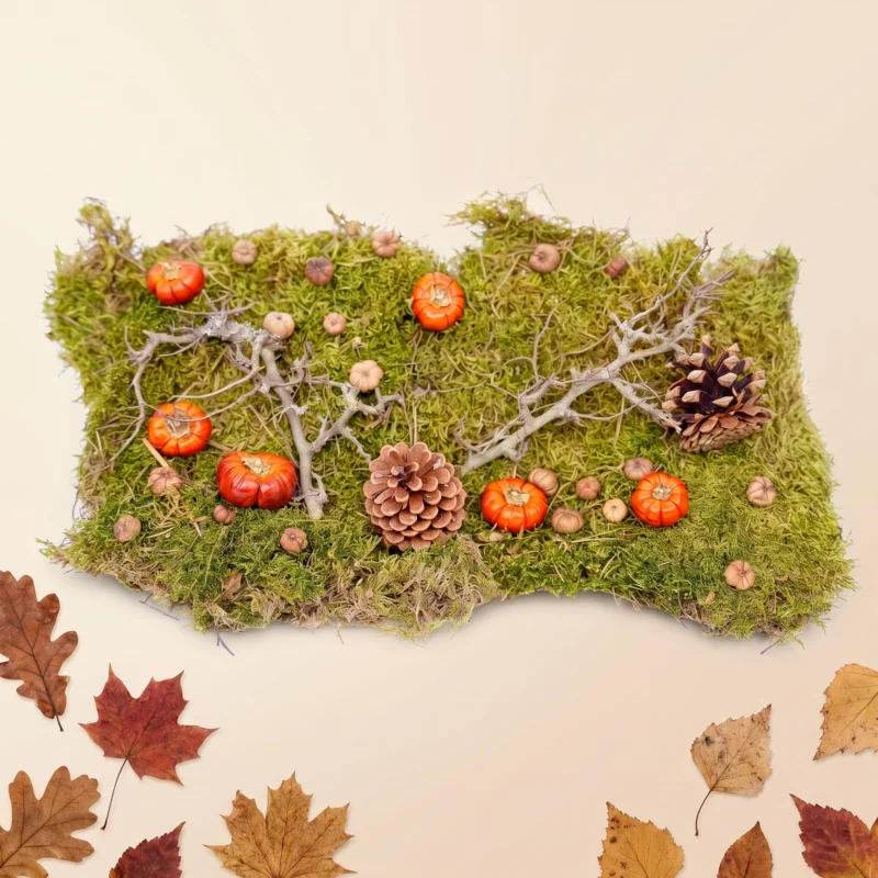 Autumn deco kit - Dried pumpkins, flat moss, bonsai wood, cones
