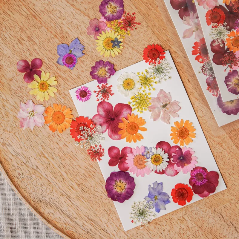 Pochette de fleurs pressées multicolores - Flowrette