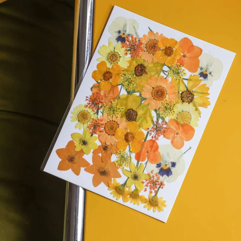 Pochette de fleurs pressées jaunes, vue de face - Flowrette