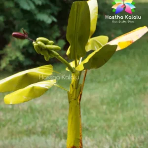 Handmade, Vegetable Color Painted Banana Tree Show Piece