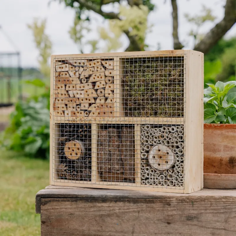 Insekthotel, natur