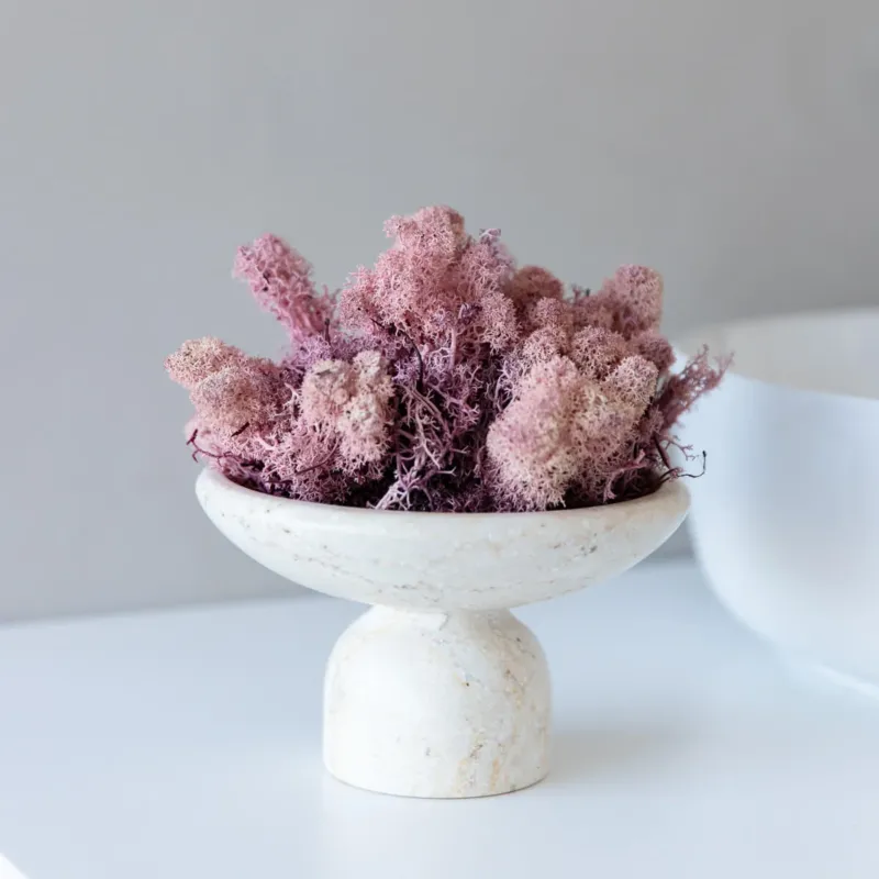 Reindeer Moos in Rosa als Dekoration, Hauptansicht#Farbe_rosa