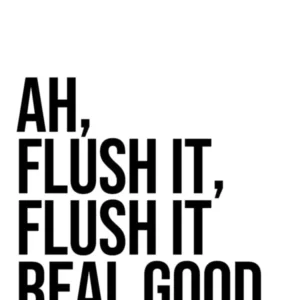 Flush It Real Good funny bathroom decor 1
