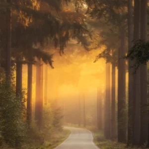 Pursuing The Light At The End Of The Road