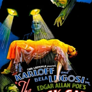The Black Cat Classic Horror Movie Poster