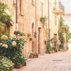 Tuscany, Italy I Blooming alley in Pienza village with plants flowers under pastel warm summer light rustic Italian street photography with Mediterranean countryside charm, floral beauty, la dolce vita