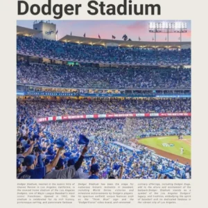 Baseball - Los Angeles Dodgers - Dodger Stadium 2