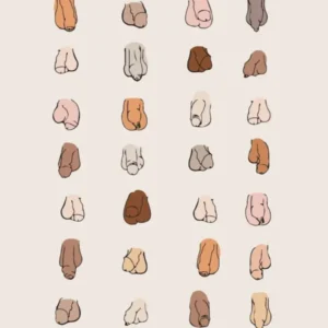All Shapes and Sizes Willys Print
